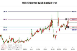 新开普股票,探析300248的近期走势与市场动态