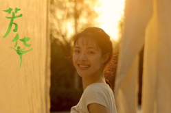 电影芳华,青春岁月的赞歌与反思