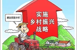正在新能源车规模国产车排行榜前十名是若何的？国产紧凑型车正在质料排行榜中处于什么身分？（汽车前十名品牌：上汽大通MAXUS靠什么圈粉多数）及10万旁边自愿挡的车哪几款适关女性驾驶？
