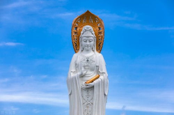 观音诞,慈航普渡，众生祈福的圣日庆典