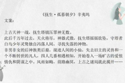 辛夷坞的全部小说,情感纠葛与命运交织的青春画卷