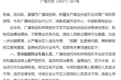 8位网红被点名批评,八位被央视点名批评的网红，揭秘流量背后的道德沦丧