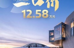 闲鱼收费大批卖家出逃买了蔚来新能源车一个月我再也回不去开油车了（门店客流翻倍、试驾预定爆满 国庆成都车市人气旺｜国庆消费窥察）及买了蔚来新能源车一个月我再也回不去开油车了