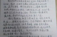 娱乐圈吃瓜作文800字,揭秘明星背后的故事