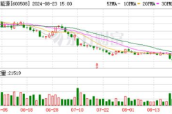上海能源股票,最新股价动态解析