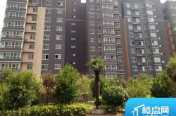 西安找房子,地段、价格、户型全解析