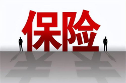 保险公司有哪些,组织架构、业务范围与市场分布