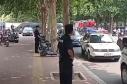 石家庄事件,从爆炸案到宠物虐杀，社会安全与道德底线再敲警钟