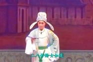 扬剧玉蜻蜓,传承江苏戏曲文化瑰宝