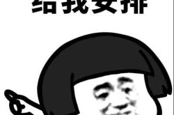 表情包图片,趣味解读学术生活点滴