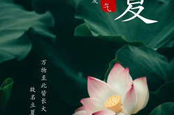 立夏的图片,万物生长，夏日序曲