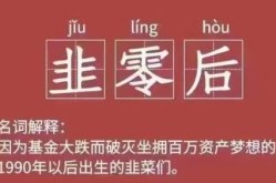 基金暴跌,基金暴跌背后的市场波动与投资策略解析