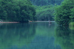 风景壁纸图片,风景壁纸中的四季变换与诗意美景